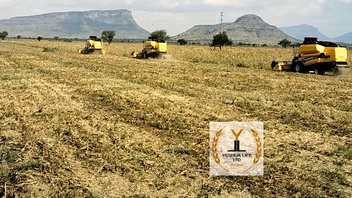 harvesting_field_1